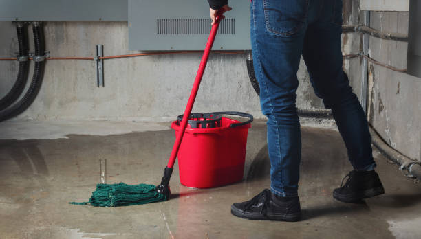 Best Local water damage restoration  in Hamburg, AR
