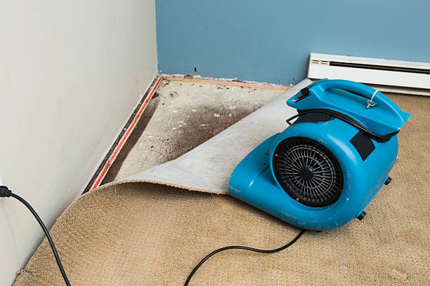 Best Ceiling water damage repair  in Hamburg, AR